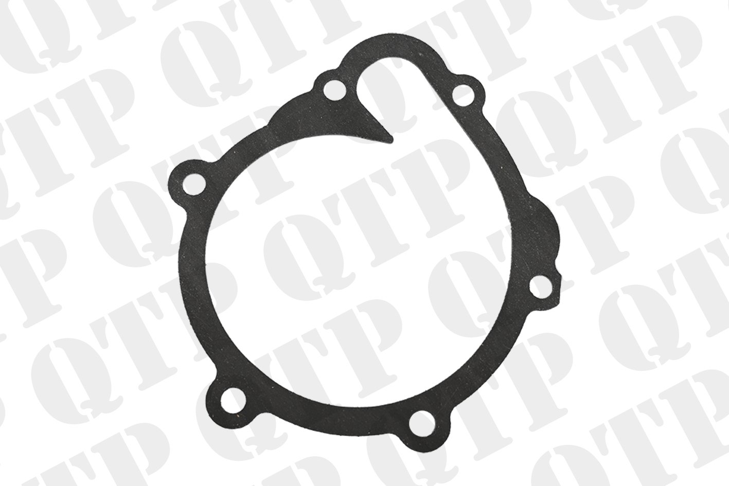 Water Pump Gasket